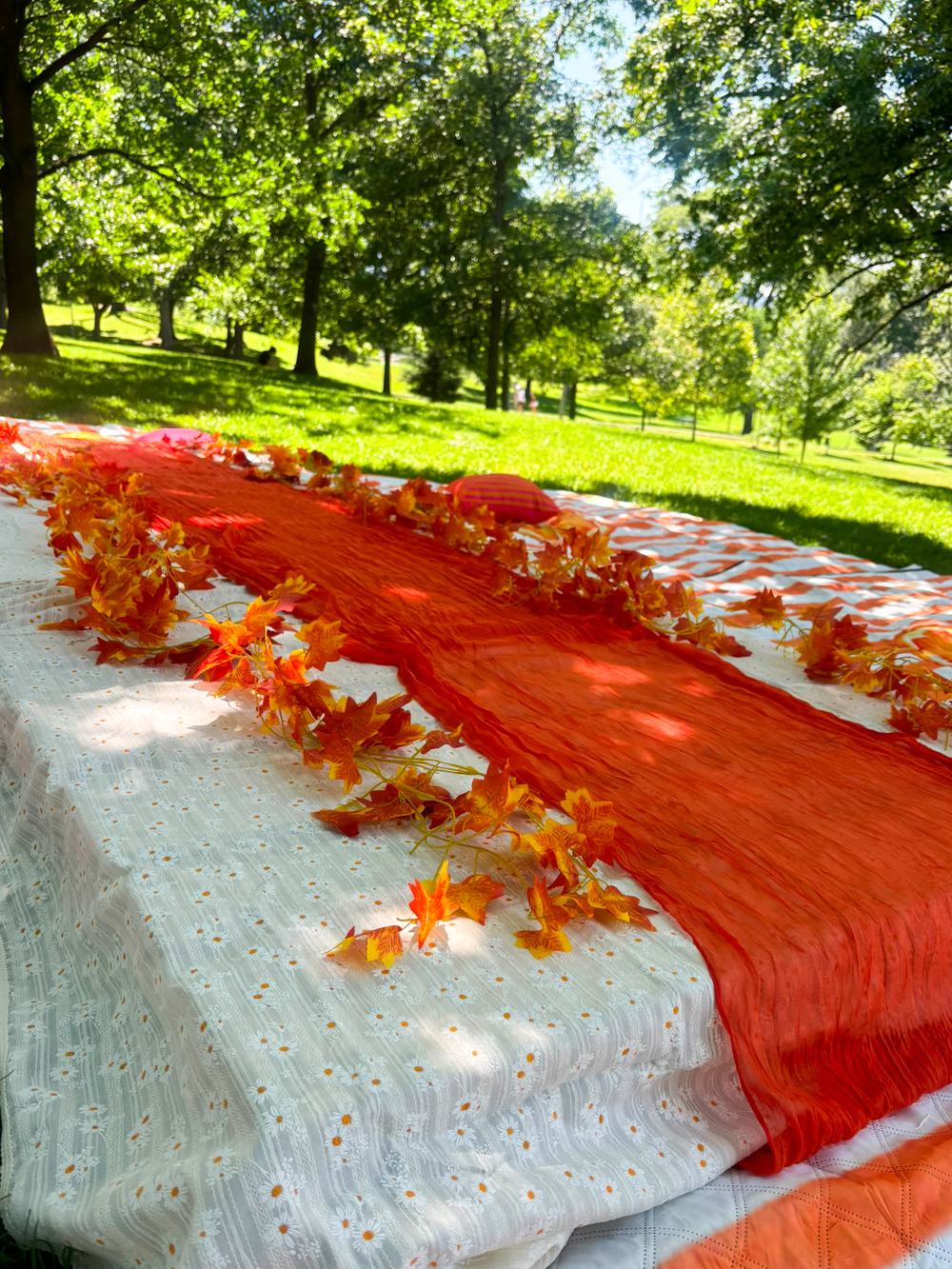 The beautiful setup — orange blankets and autumn leaves in the sun